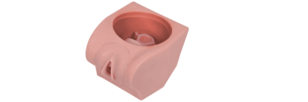 Female Contraception Model